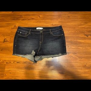 Excellent condition- Torrid frayed shorts